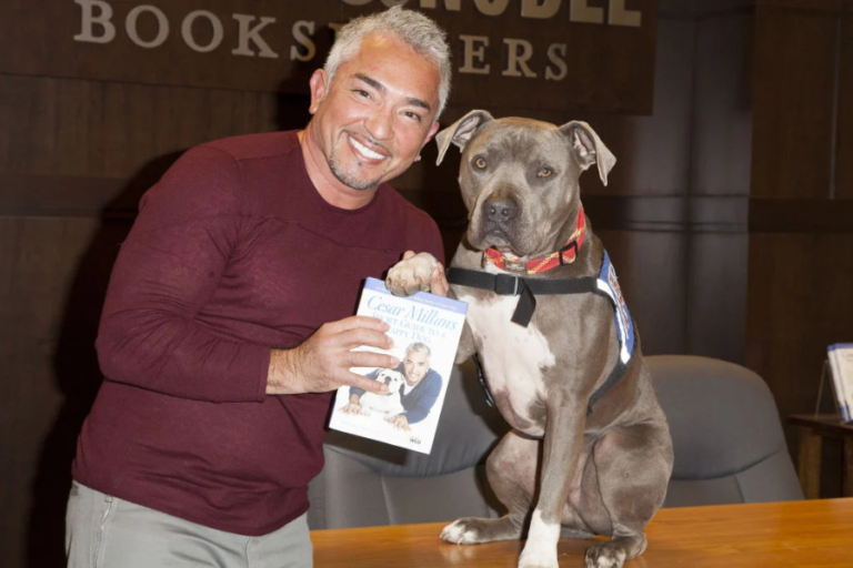 cesar millan net worth